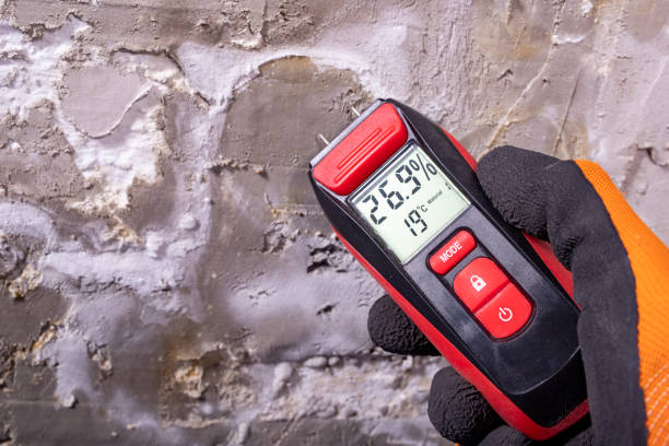 Best Water Damage Restoration  in Woodbine, GA