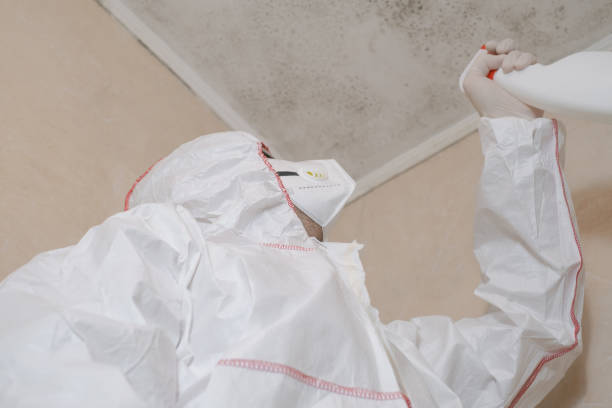 Best Residential Mold Removal  in Woodbine, GA