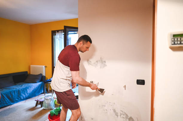 Best Office Mold Removal Services  in Woodbine, GA